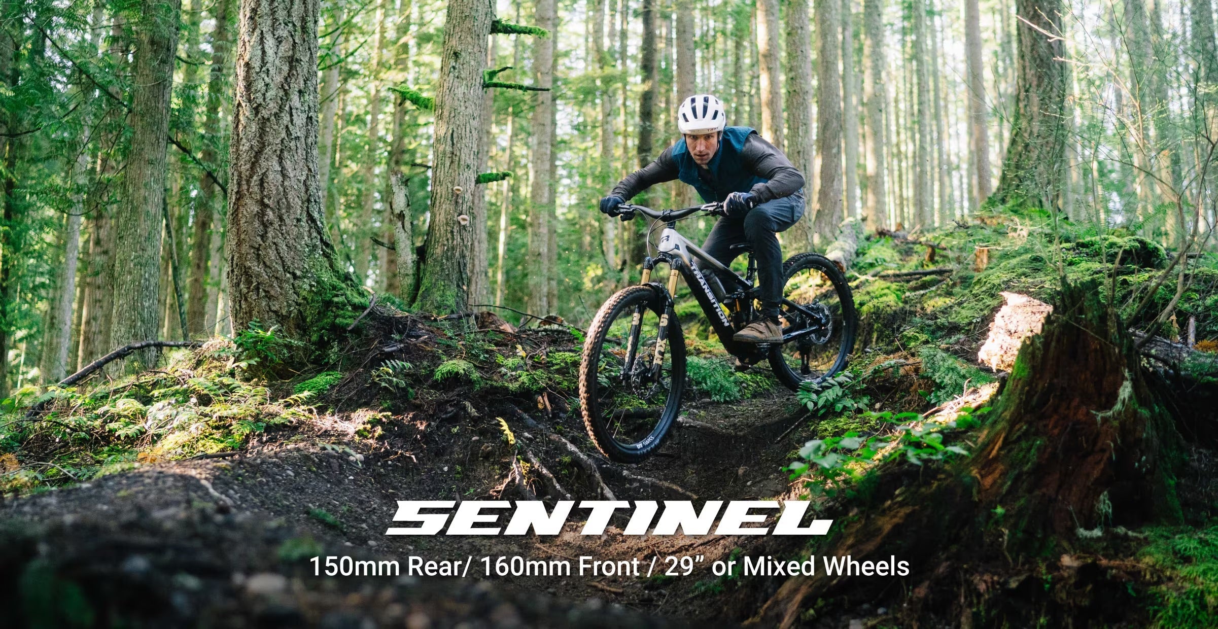 Transition Sentinel