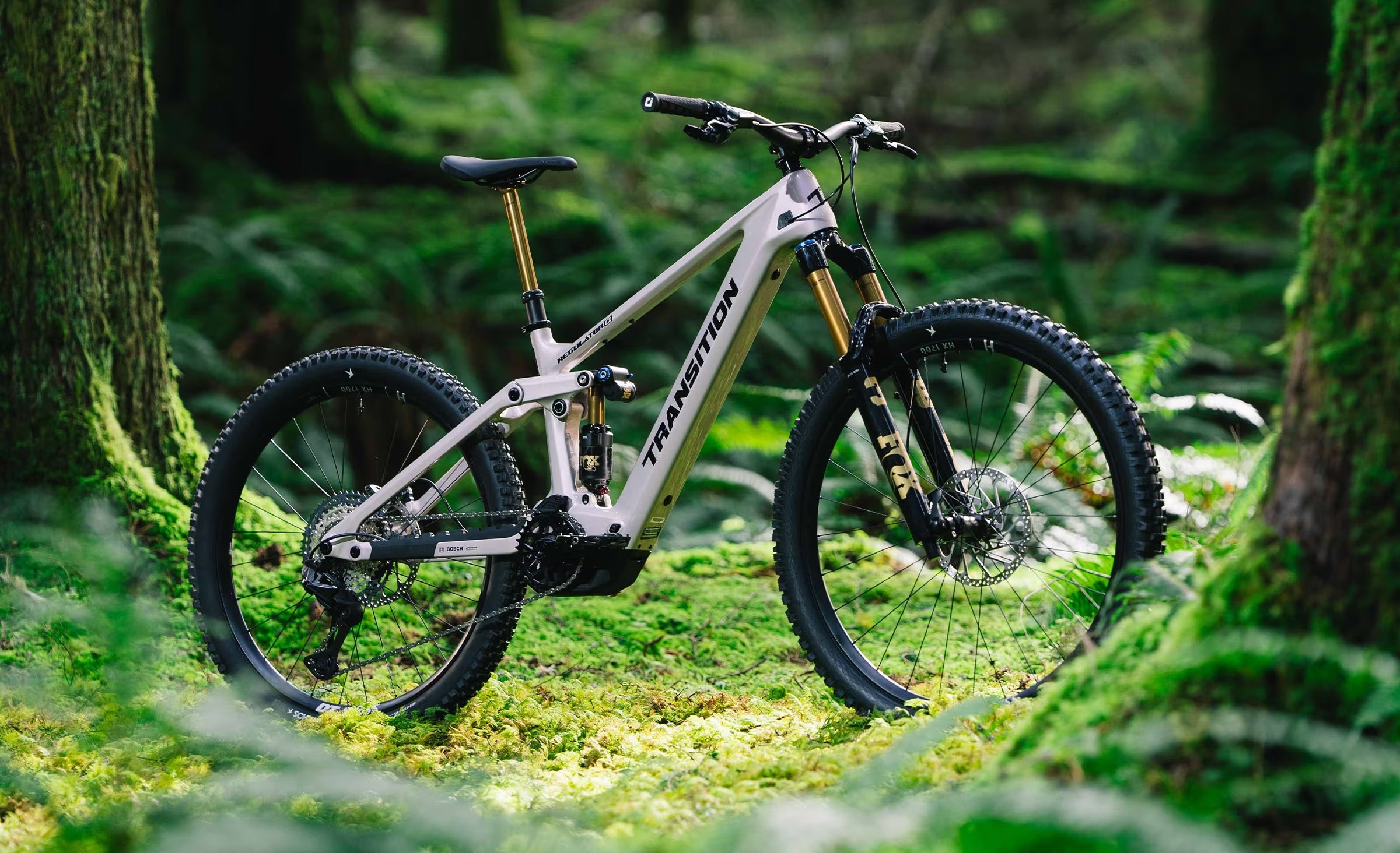Transition Regulator CX XT Di2