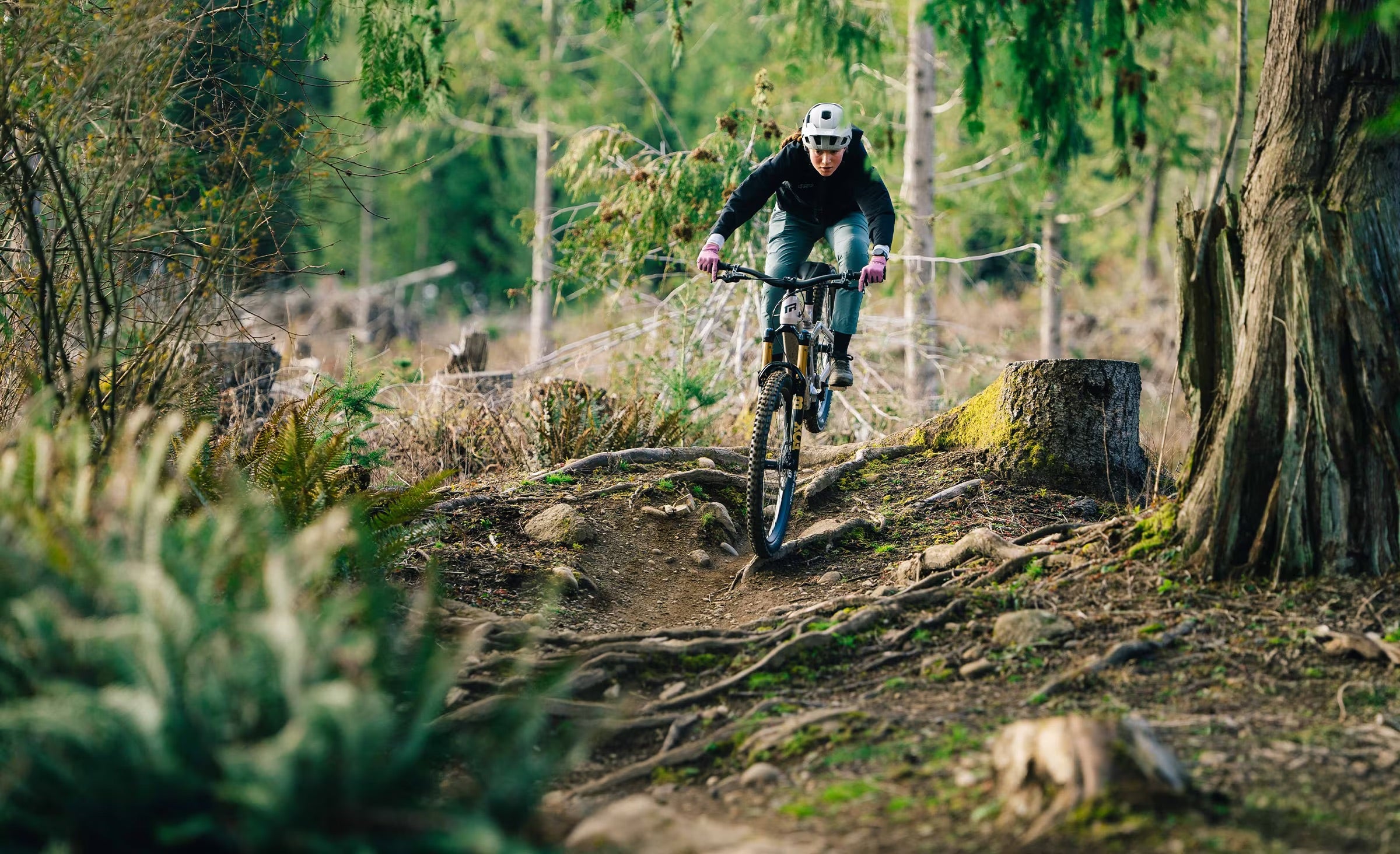 Transition Regulator CX XT Di2
