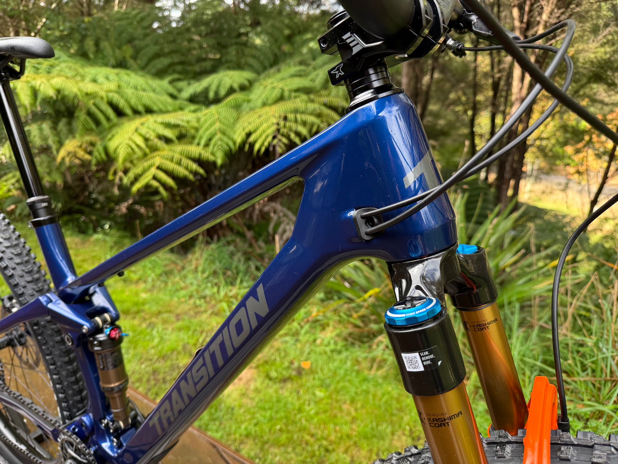 Spur Carbon X0 AXS Custom