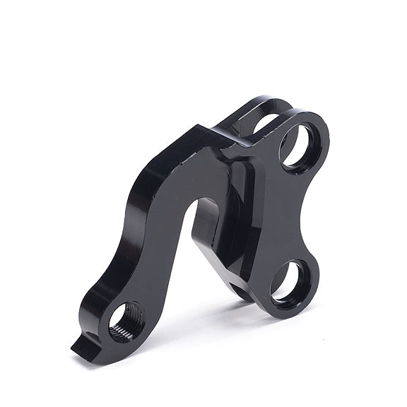 Transition derailleur hanger cheap