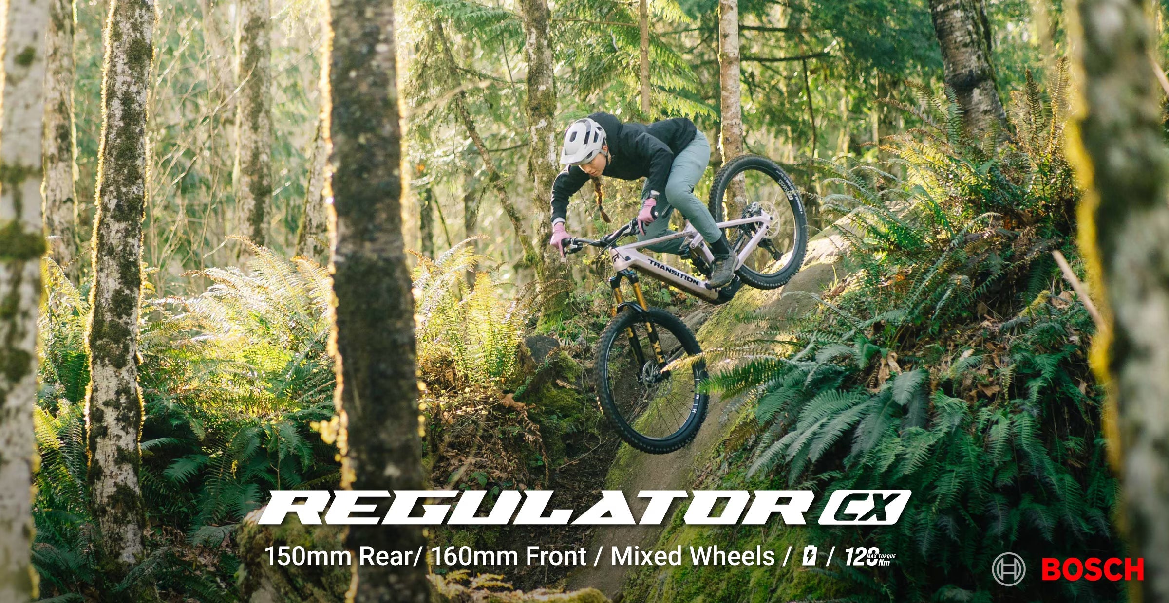Transition Regulator