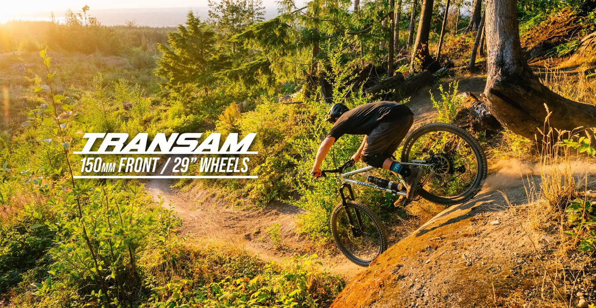 Transiam Transition TransAM