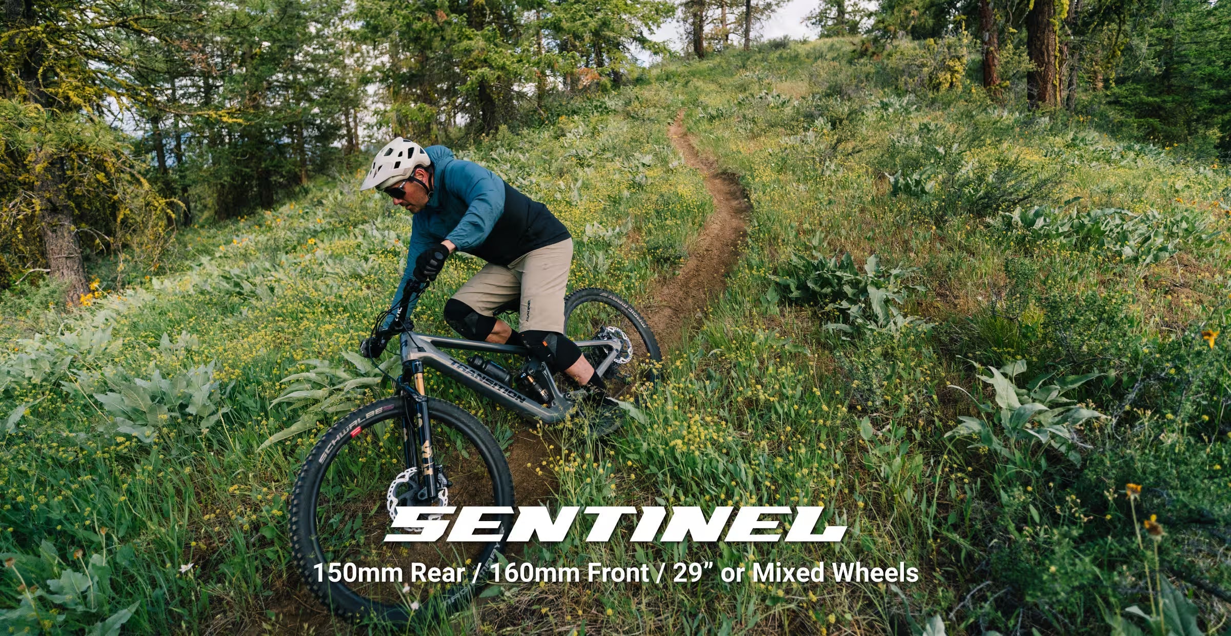 Transition Sentinel