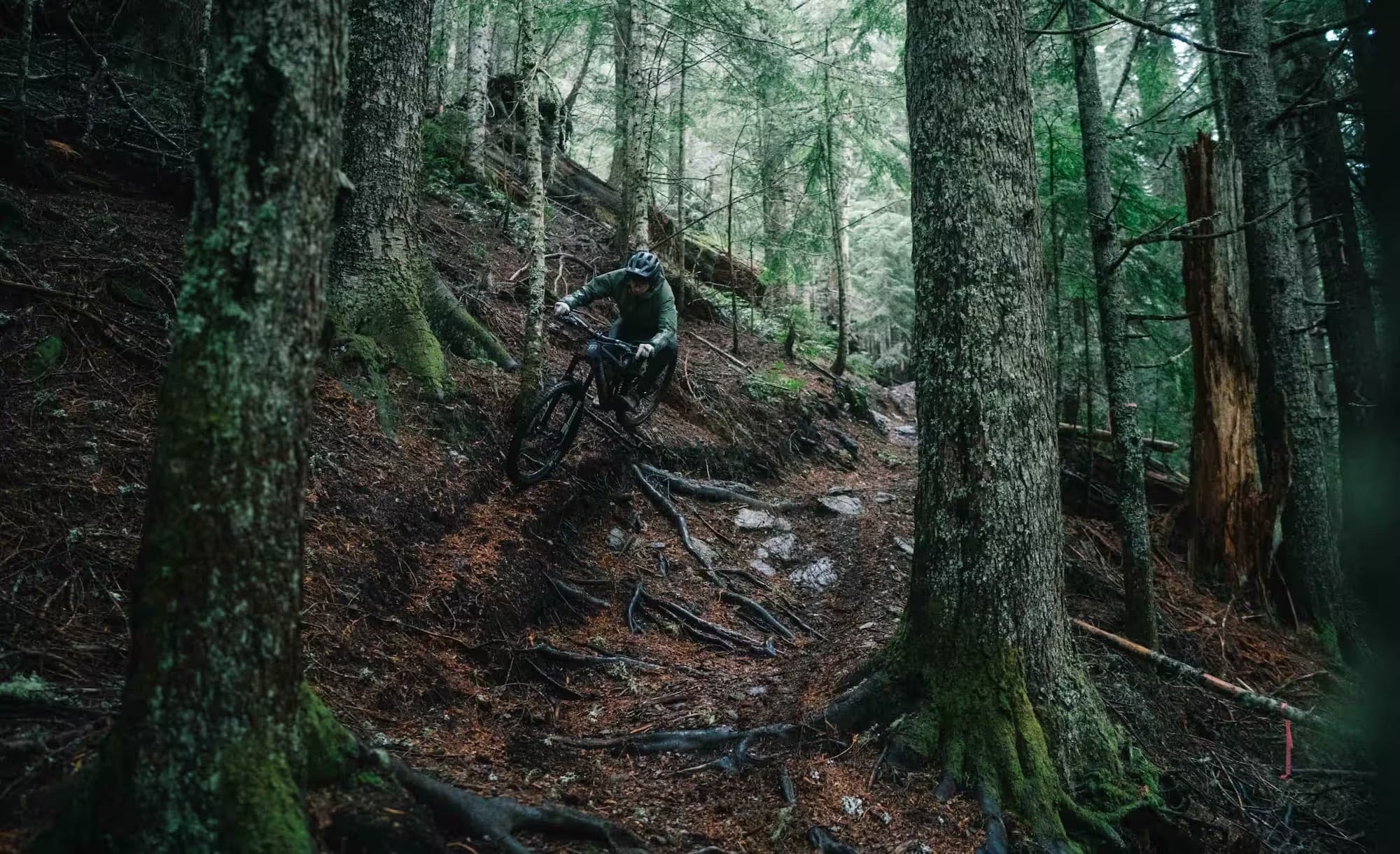 Transition Spire Alloy Frameset