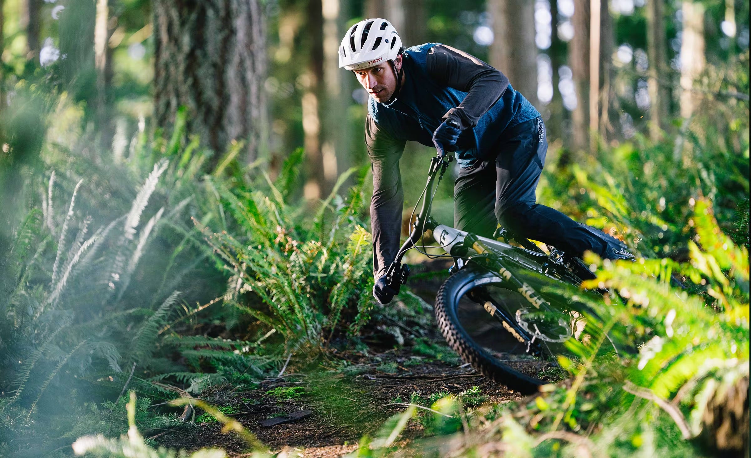 Transition Sentinel Carbon XT Di2