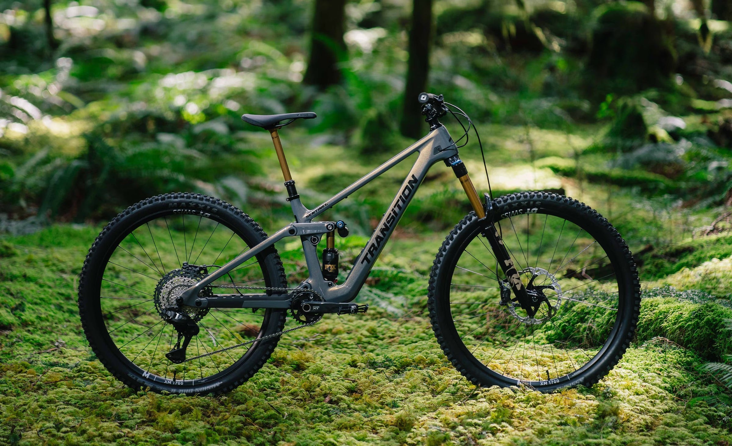 Transition Sentinel Carbon Frameset