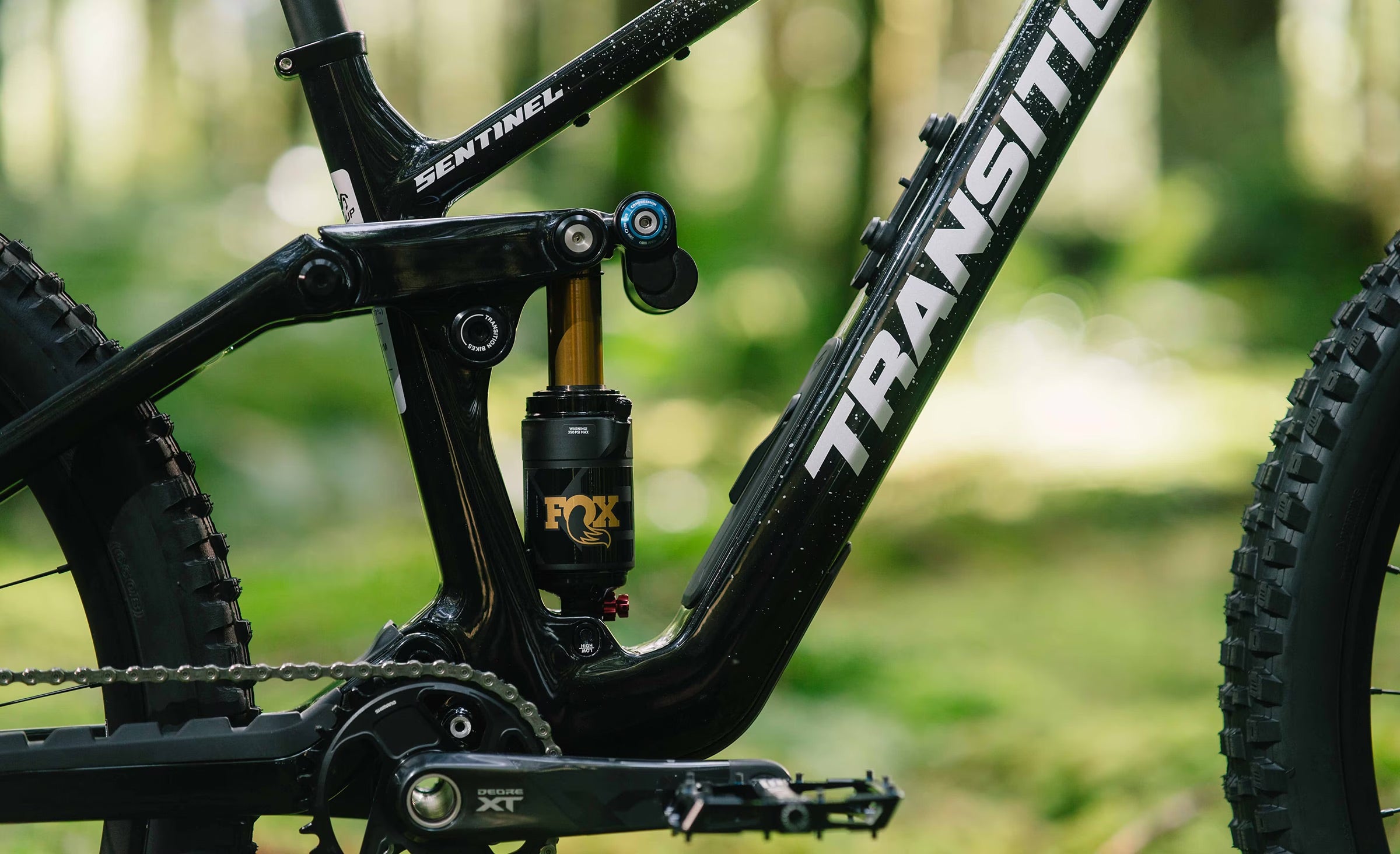 Transition Sentinel Carbon Frameset