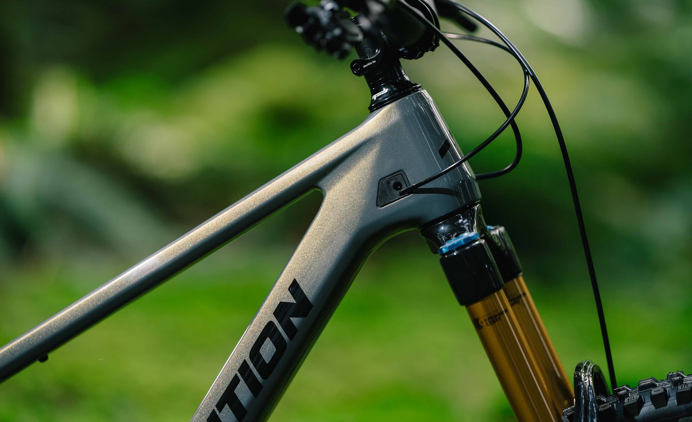 Transition Sentinel Carbon XT Di2