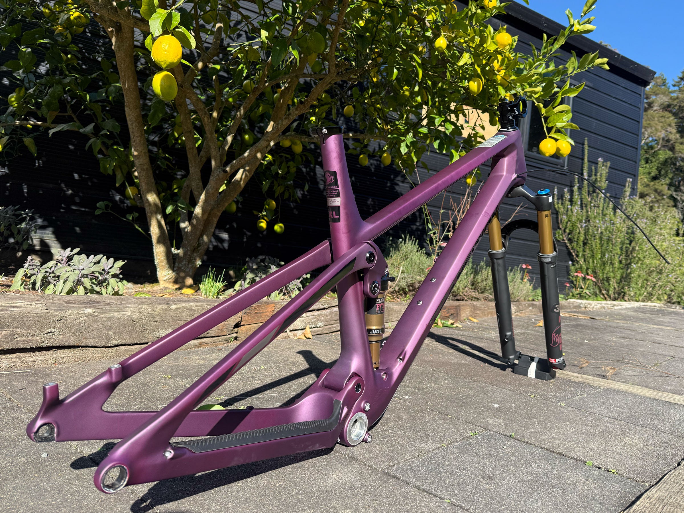 Transition Spur XL Frame and Fox 34 Factory